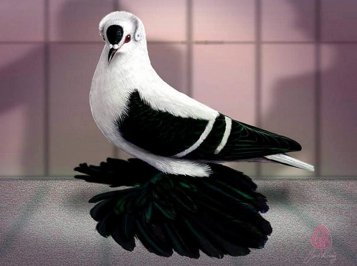 548332_10151243521474311_1618014313_n