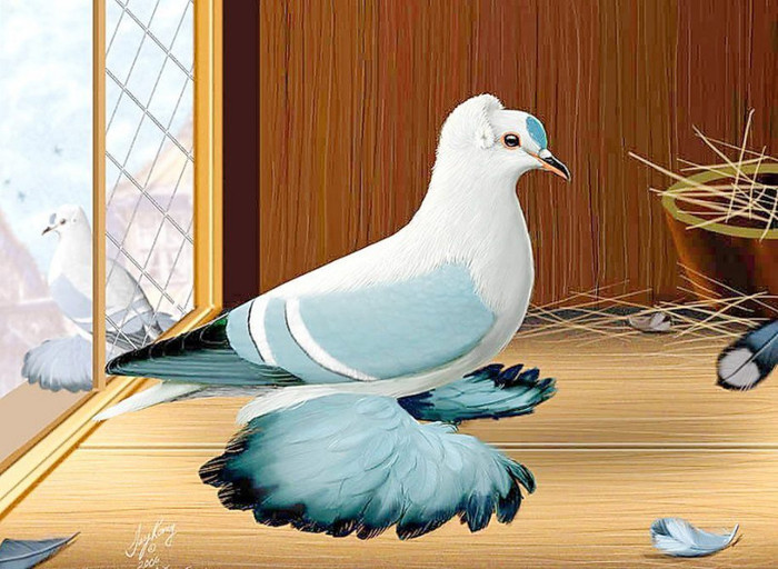 65345_10151245227469311_647185974_n