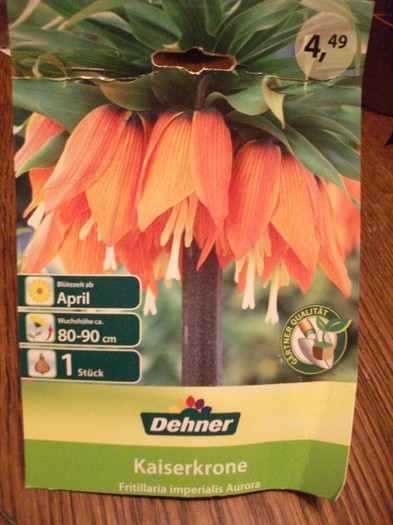 Picture 291 - flori si legume Germania