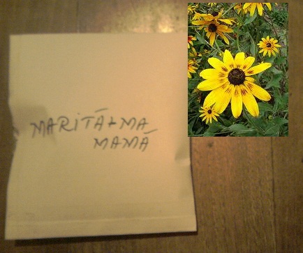 P031112_20.36_[01] - seminte flori