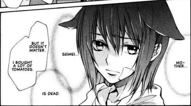 ritsuka 63