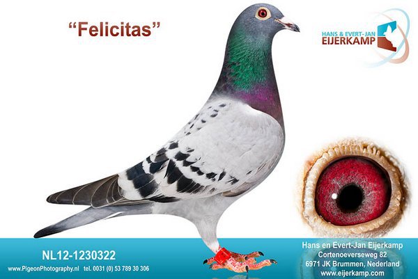 NL12-1230322