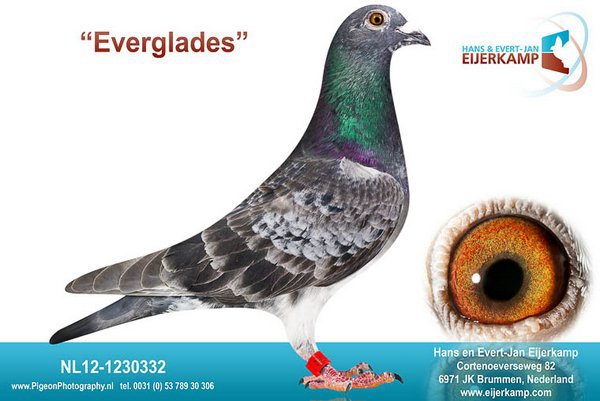 NL12-1230332