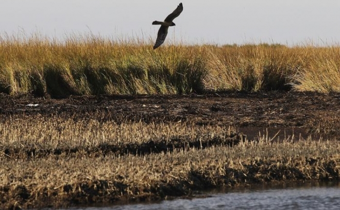 2011_01_04_grabb_7430_0_rsz