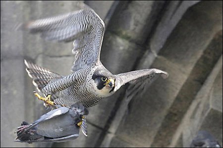 199846_102335756516071_100002189410072_18105_2263042_n