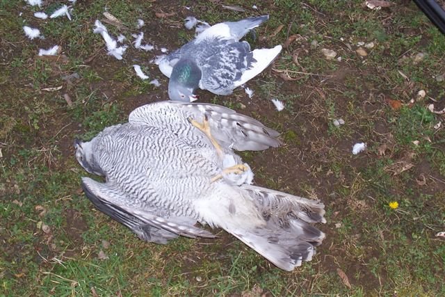 200165_102097019873278_100002189410072_15348_1279423_n