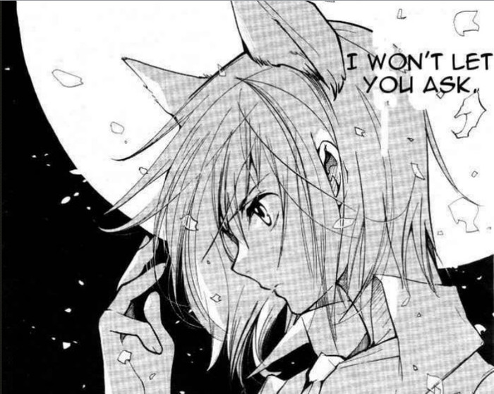 ritsuka 68