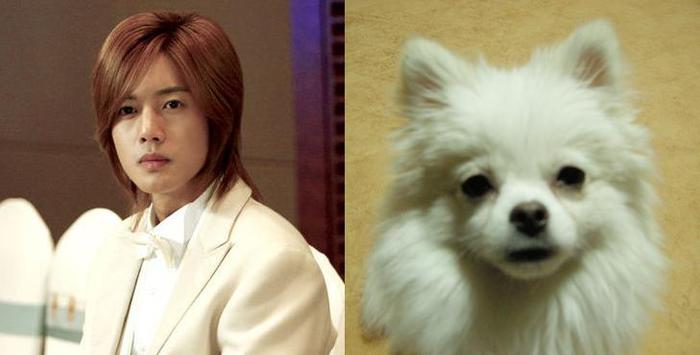  - Kim hyun joong and his dogs