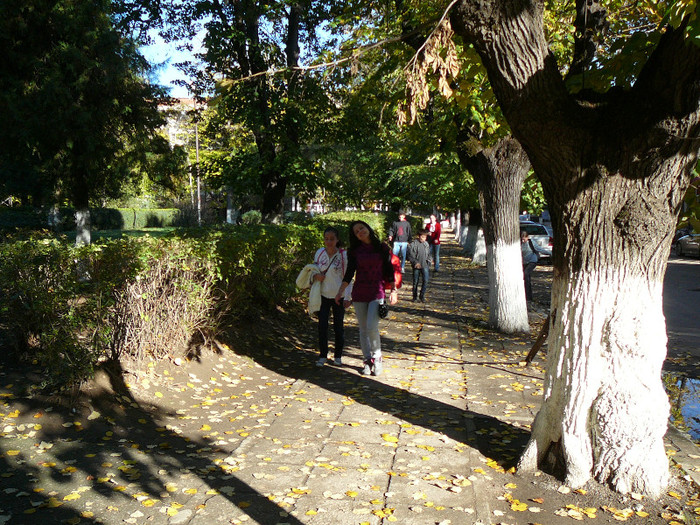 P1450231