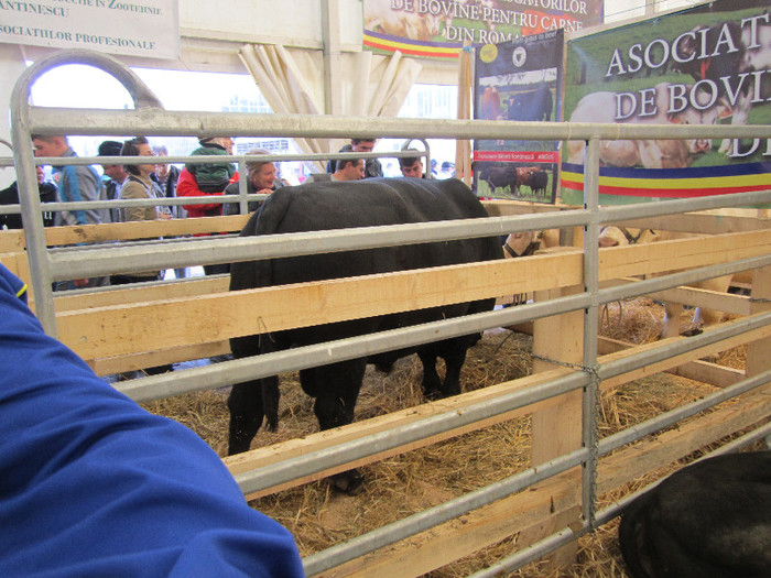 Picture 083 - indagra 2012