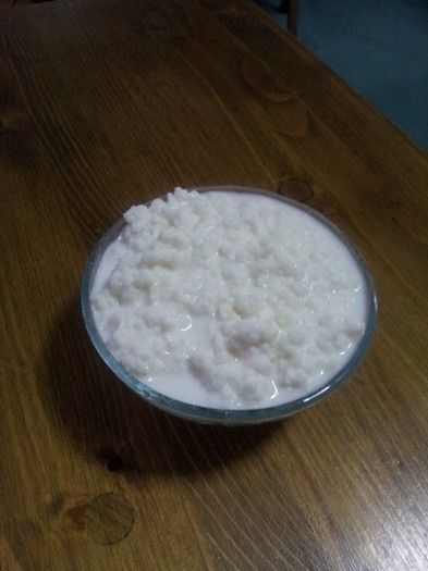 20121023_082546 - Vand ciuperca tibetana pentru kefir din lapte