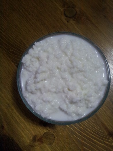 20121023_082552 - Vand ciuperca tibetana pentru kefir din lapte