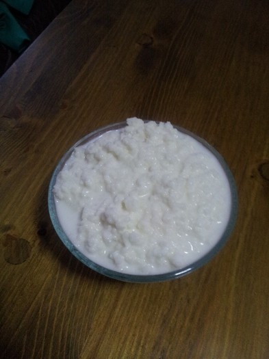 20121023_082602 - Vand ciuperca tibetana pentru kefir din lapte