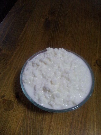 20121023_082606 - Vand ciuperca tibetana pentru kefir din lapte