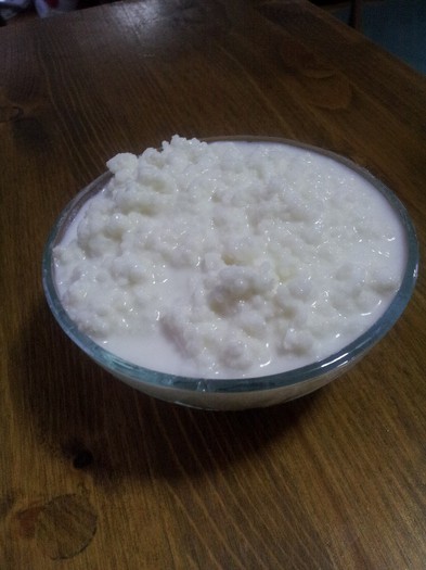 20121023_082622 - Vand ciuperca tibetana pentru kefir din lapte