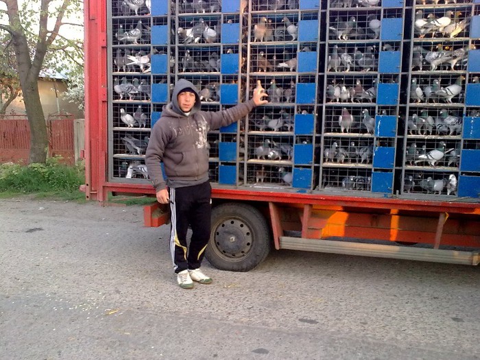 Imbarcasem pasarile; era dimineata si era tare frig
