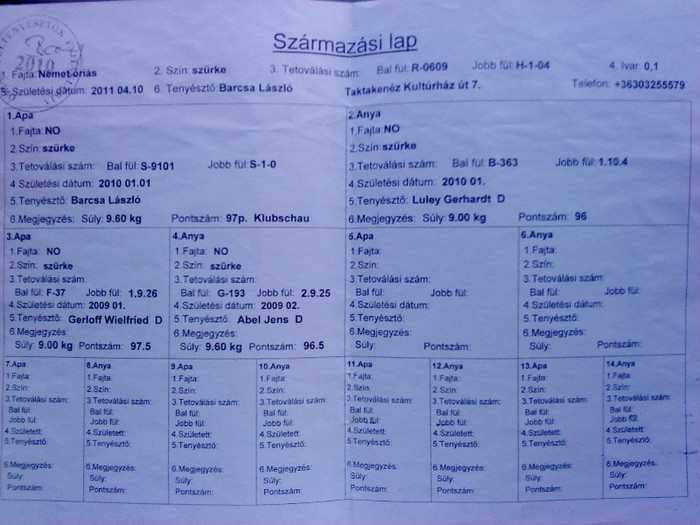 Barcsa Laszlo-femela R0609-H104-Campion Ungaria