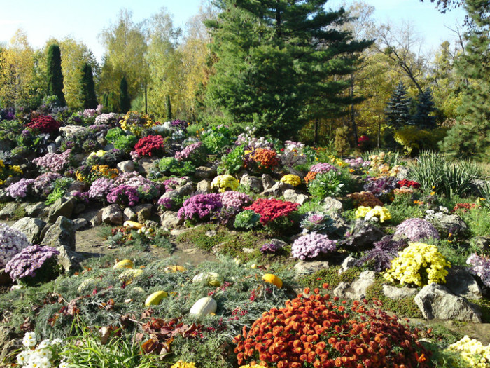  - Gradina Botanica Iasi