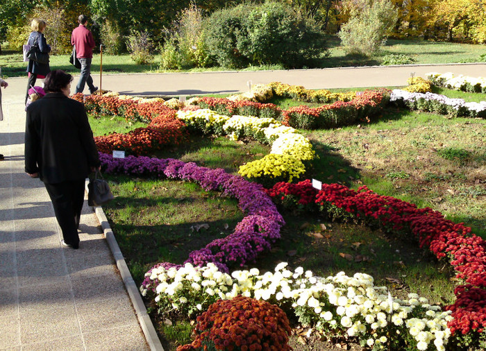  - Gradina Botanica Iasi