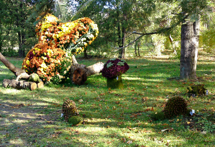  - Gradina Botanica Iasi