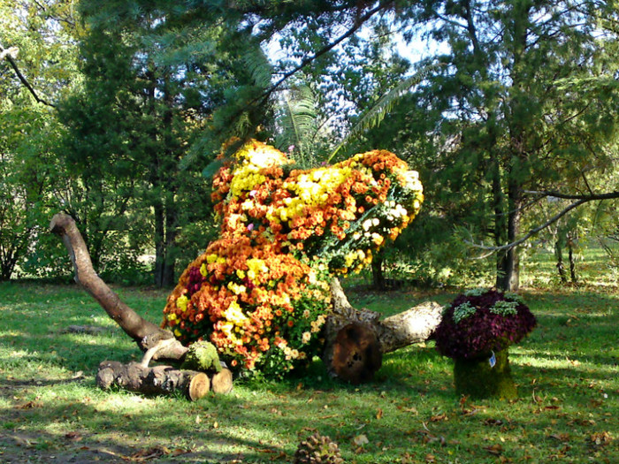  - Gradina Botanica Iasi