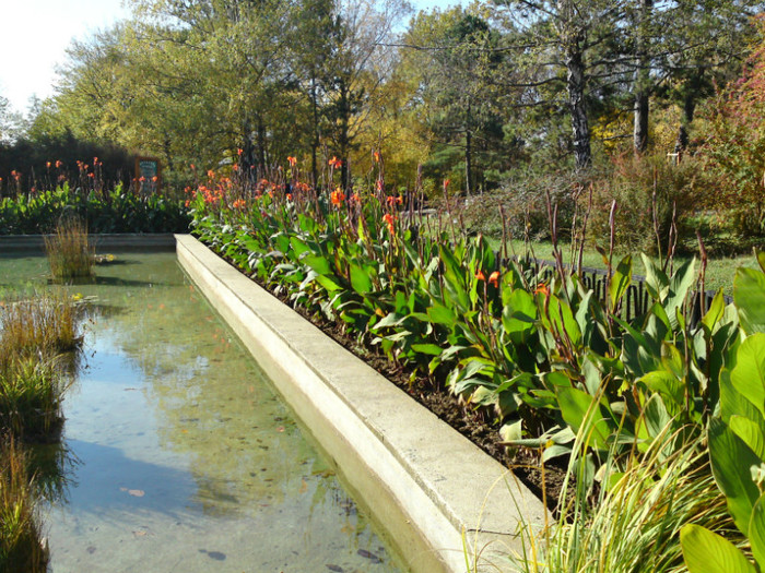  - Gradina Botanica Iasi