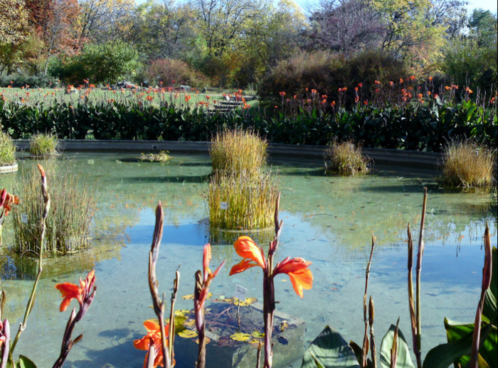  - Gradina Botanica Iasi