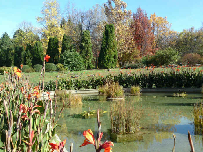  - Gradina Botanica Iasi