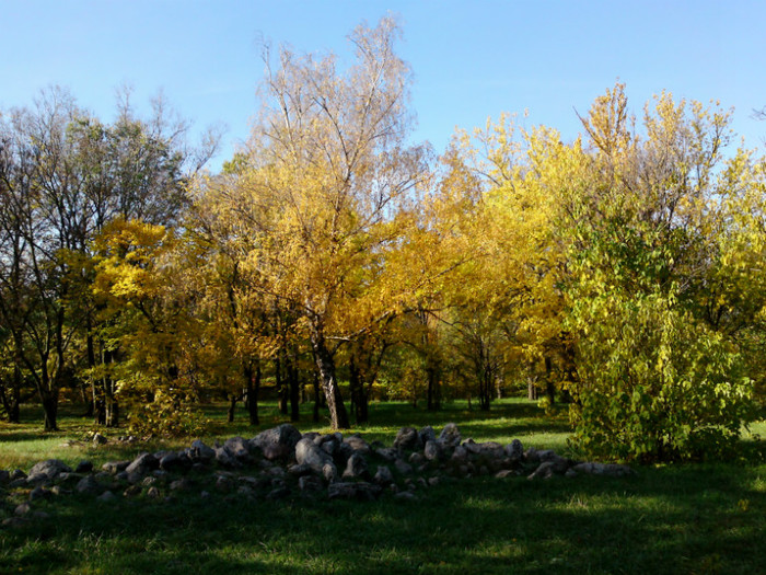  - Gradina Botanica Iasi