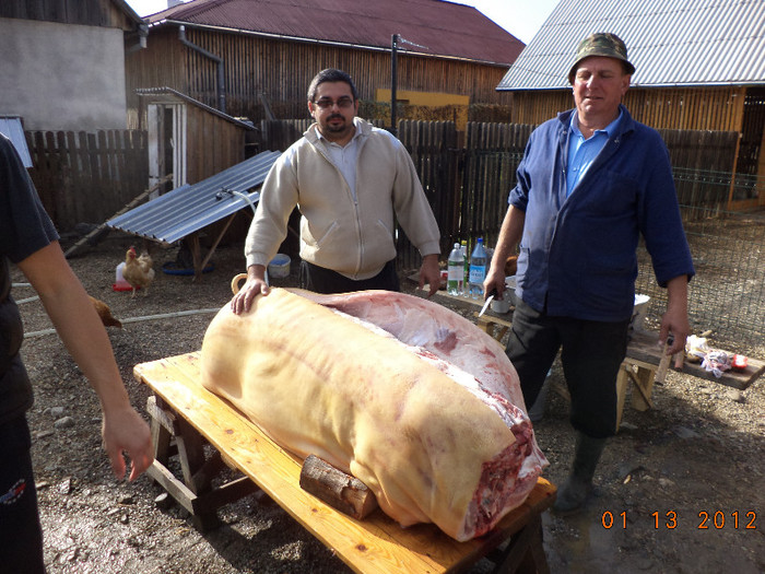 Slanina doar de un deget - Poze noi cu animalele