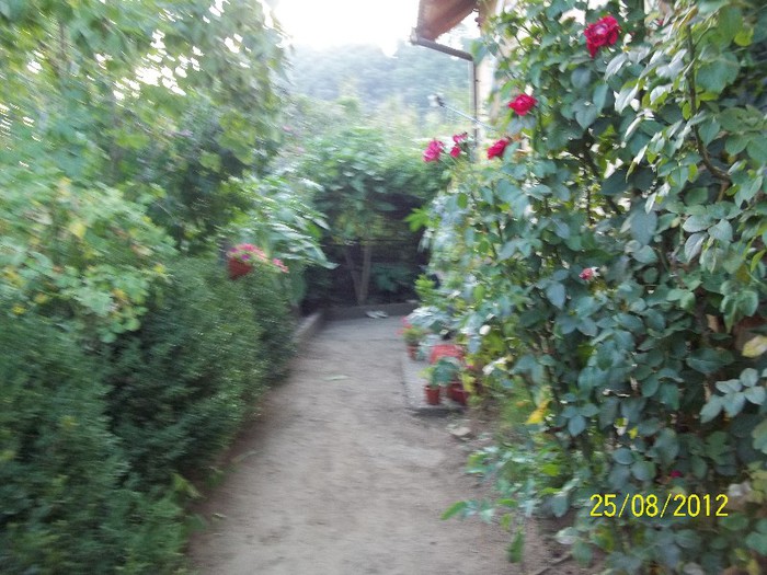 100_7412 - 2012 FLORI