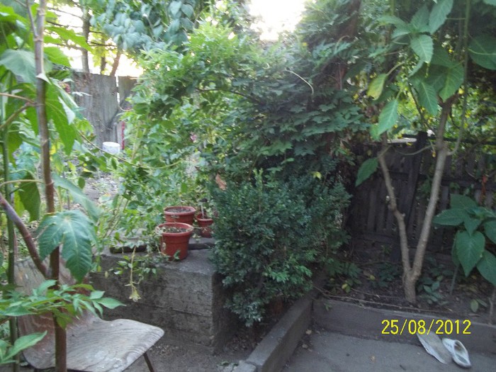 100_7422 - 2012 FLORI