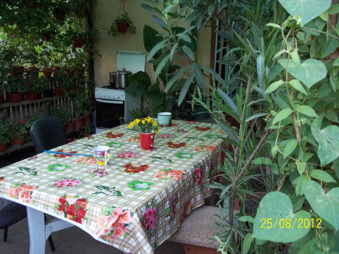 100_7423 - 2012 FLORI