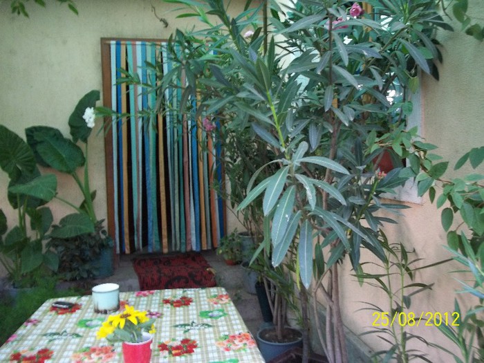 100_7424 - 2012 FLORI