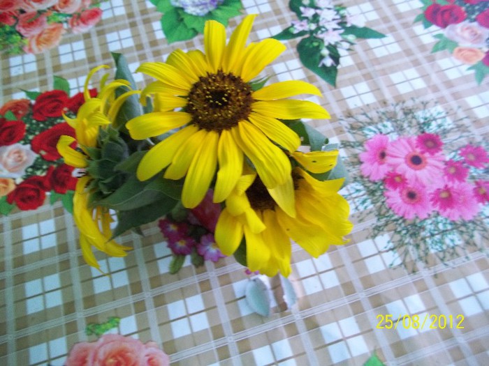 100_7434 - 2012 FLORI