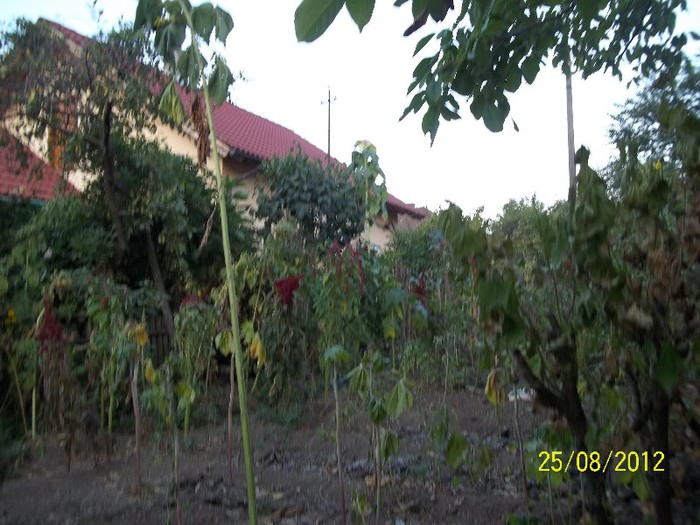 100_7455 - 2012 FLORI