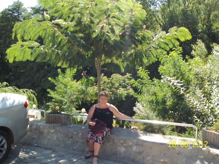 100_7482 - POZE NOI