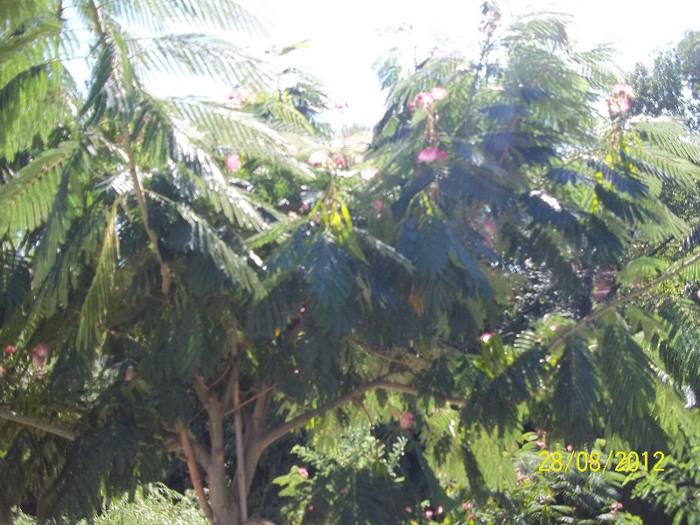 100_7483 - POZE NOI