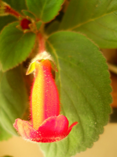 DSCN3562
