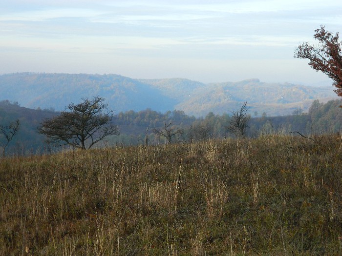 Picture 039 - Diverse-Claudiu