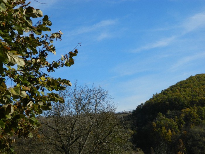 Picture 081 - Diverse-Claudiu