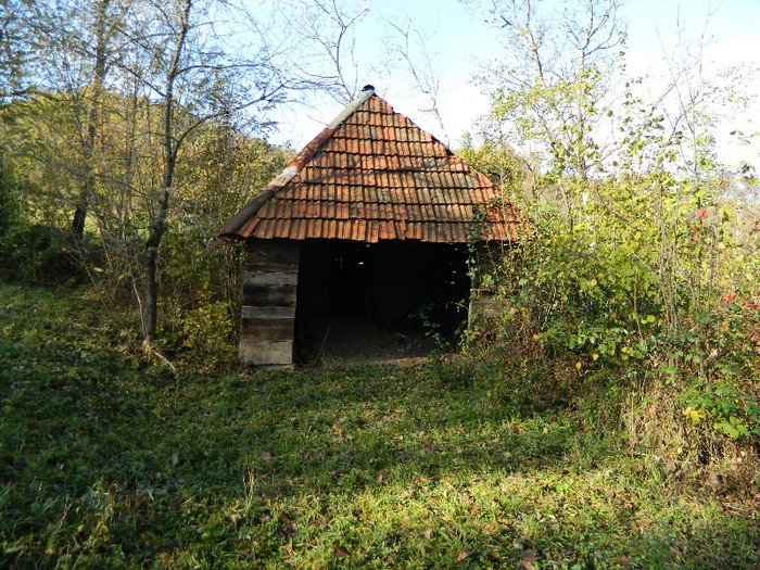 Picture 086 - Diverse-Claudiu