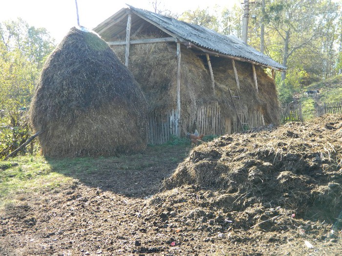 Picture 101 - Diverse-Claudiu