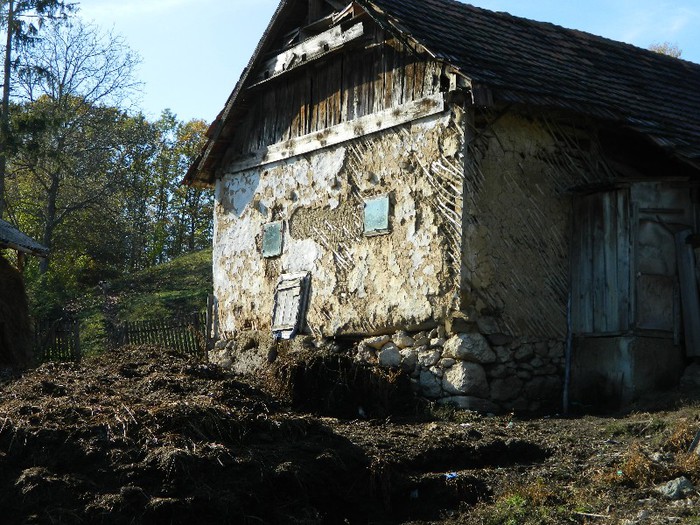 Picture 102 - Diverse-Claudiu