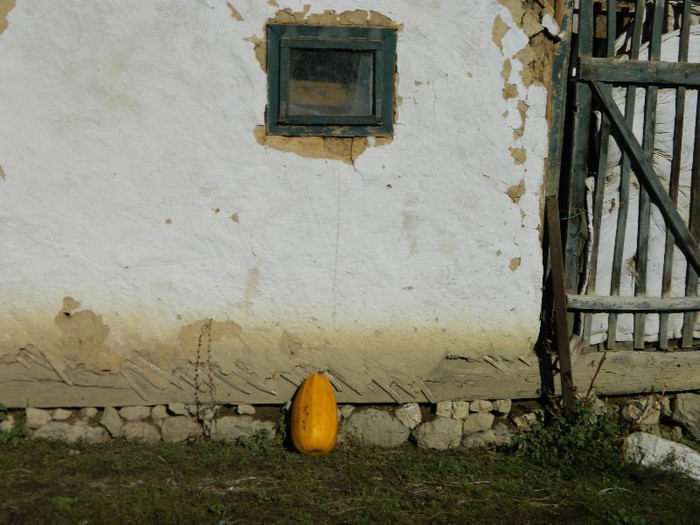 Picture 112 - Diverse-Claudiu