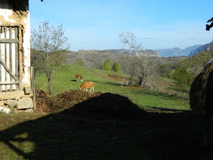 Picture 113 - Diverse-Claudiu