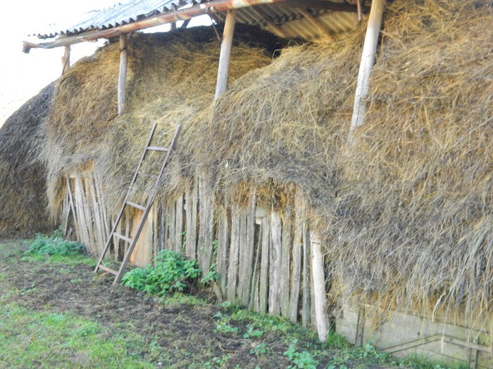 Picture 114 - Diverse-Claudiu