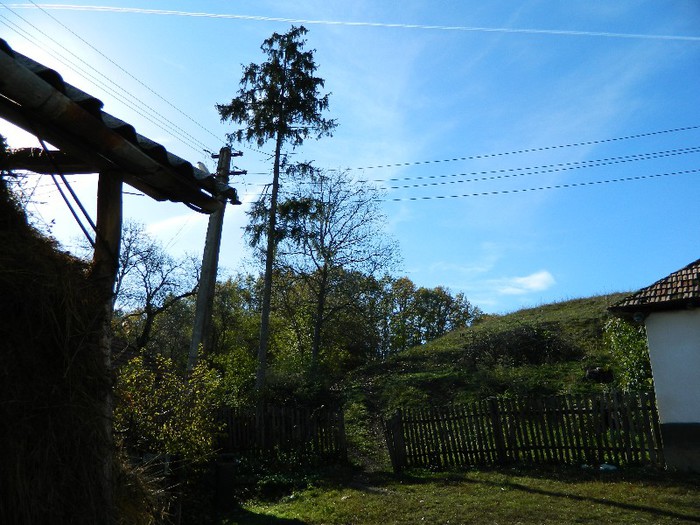 Picture 118 - Diverse-Claudiu