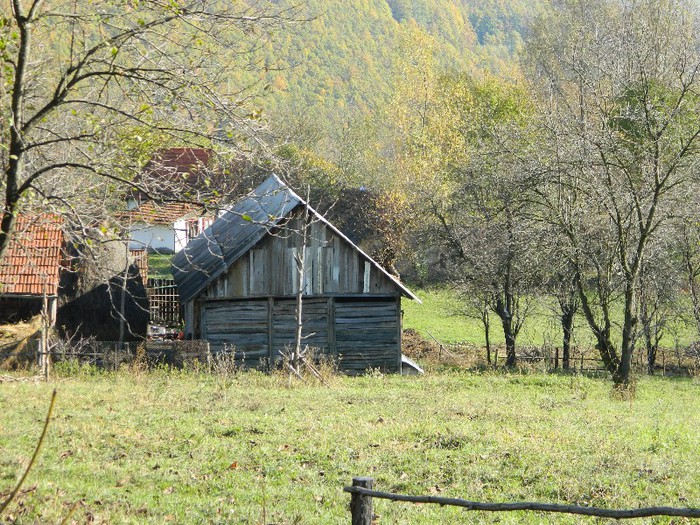 Picture 141 - Diverse-Claudiu