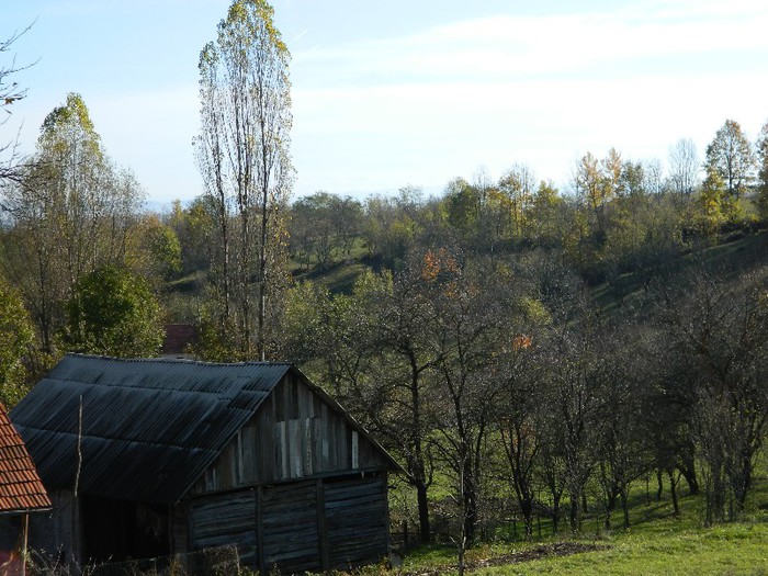 Picture 145 - Diverse-Claudiu